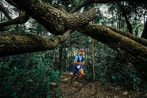 BIB: 
                            <button type="button" onclick="openModal(25708126)" class="btn btn-primary btn-sm float-right btn-popup" data-toggle="modal" data-target=".modal-high-quality">
                        <i class="fas fa-shopping-cart"></i> Add to Cart
                    </button>
                                            <button type="button" onclick="isThisMe(25708126, true)" class="btn btn-success btn-sm float-right btn-popup btn-isme hidden" data-toggle="tooltip" data-placement="bottom" title="นี่คือรูปของคุณใช่ไหม คลิกที่นี่เพื่อเอาเข้าอัลบั้ม">
                        <i class="fas fa-plus"></i> Add to album
                    </button>
                    <button type="button" onclick="isThisMe(25708126, false)" class="btn btn-warning btn-sm float-right btn-popup btn-isnotme hidden">
                        <i class="fas fa-ban"></i> Remove from album
                    </button>